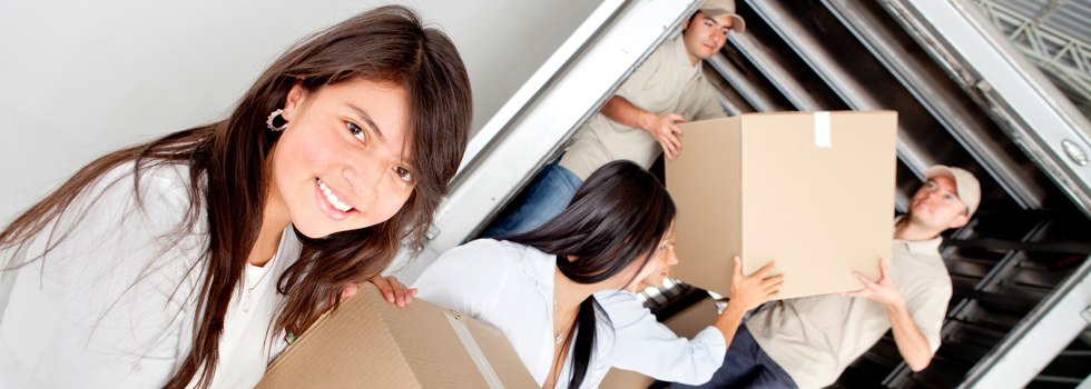 Professional Removalists Birrong